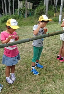p8210401.jpg